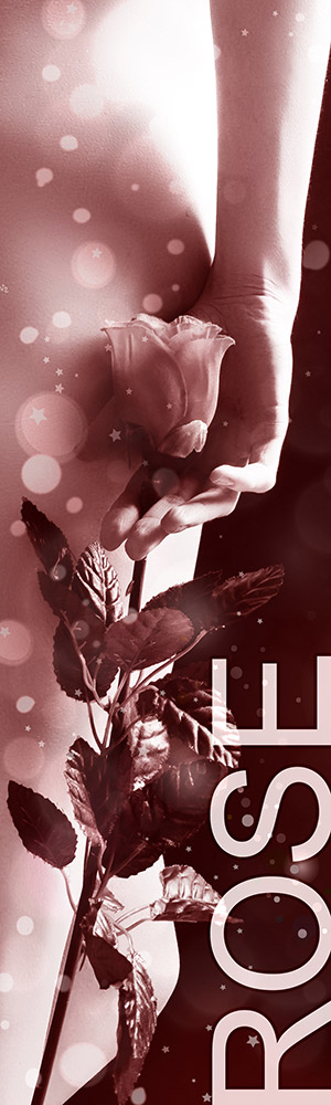 Status Rose - Honorarübersicht Escort Service Linz Status Rose - Honorarübersicht Escort Service Linz